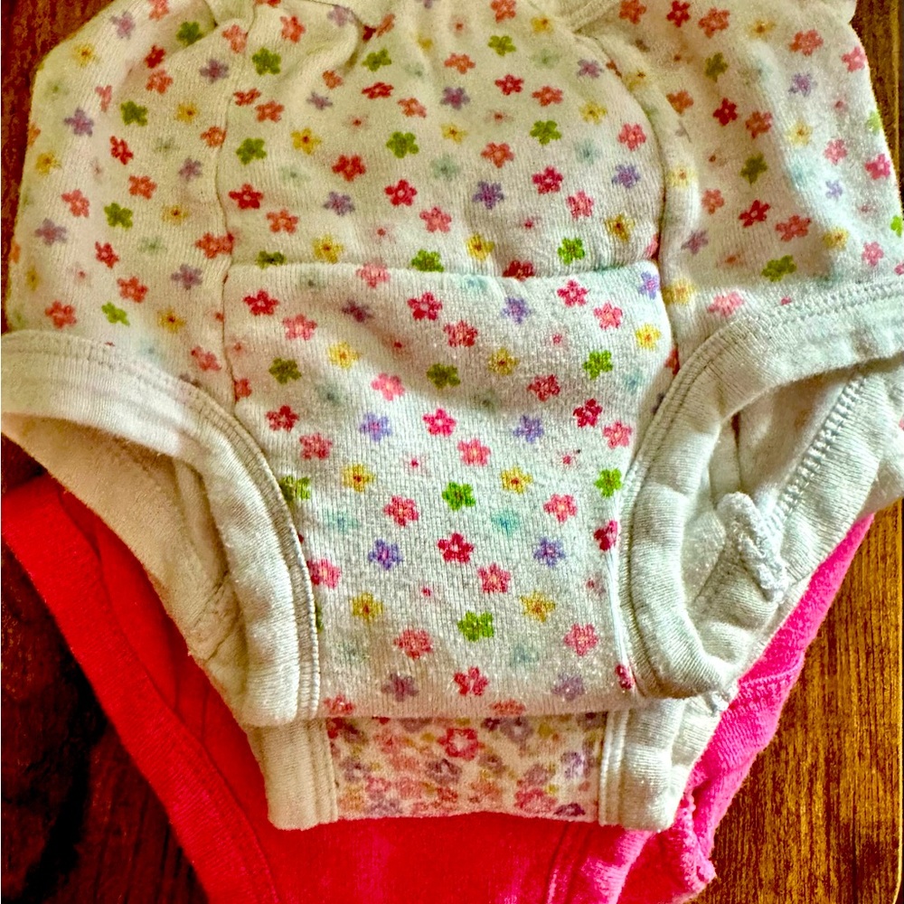 Training underwear Gerber